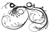 Universal V8 Terminated Engine Harness for Nexus R5 VCU